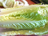 Lactuca sativa longifolia