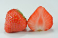 Everbearing Fragaria
