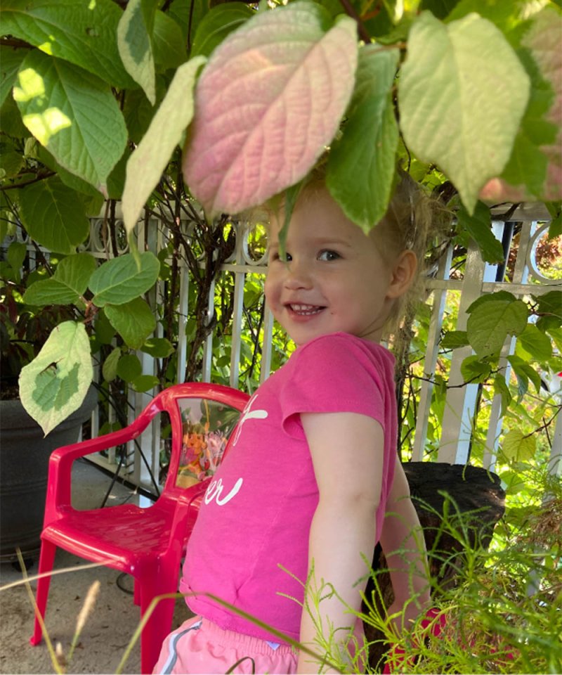 Plant photo