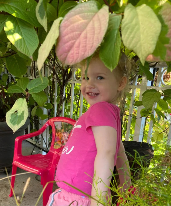 Plant photo
