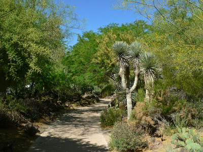 PlantShare Regional Community, Henderson, NV