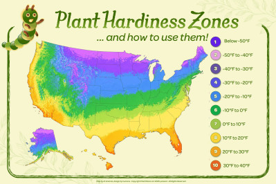 Plant Hardiness Zones and How to Use Them