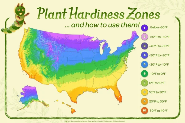 Plant photo