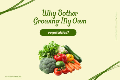 Why Should I Grow My Own Vegetables?