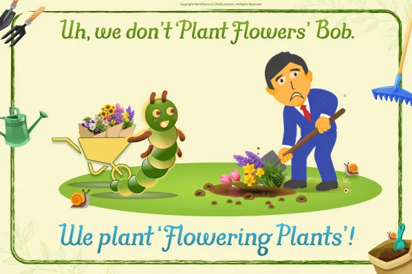 Plant photo
