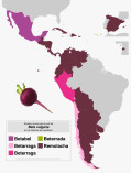 Beta vulgaris