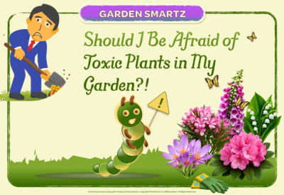 Garden Plants That Are Toxic to Humans